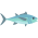 Cá ngừ đại dương